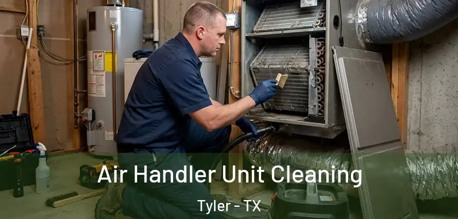  Air Handler Unit Cleaning Tyler - TX