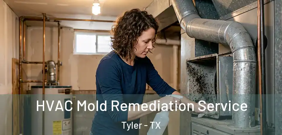  HVAC Mold Remediation Service Tyler - TX