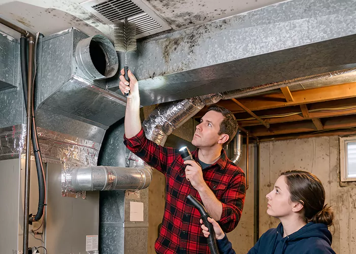 Premier HVAC Mold Remediation Company in Tyler